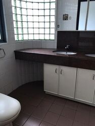 Astor Green (D21), Condominium #632449701